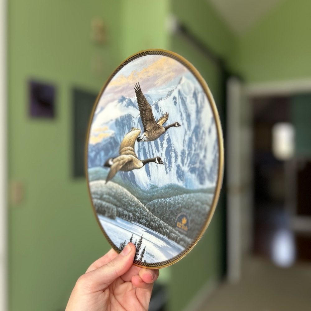 Vintage Wildlife Geese In Flight Mountains Scenery Vibrant Wall Hanging Plate - Picture 3 of 6